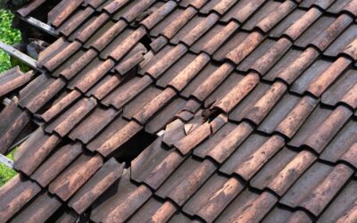 Tuiles cassées, déplacées ou poreuses : Faut-il réparer ou tout changer ? L’avis de l’expert.
